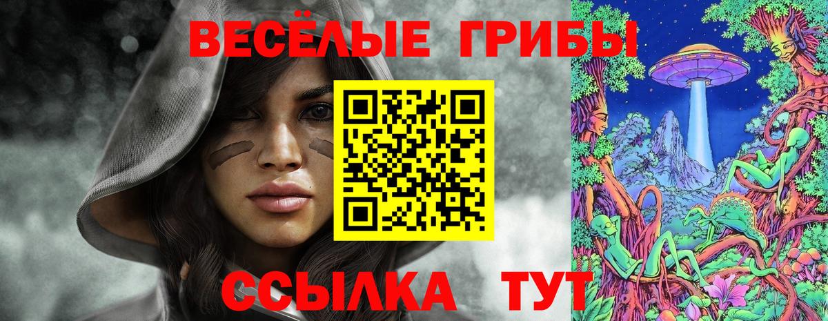 Псилоцибиновые грибы Psilocybe  Псилоцибиновые грибы Cubensis  Балашиха  Вход с VPN 