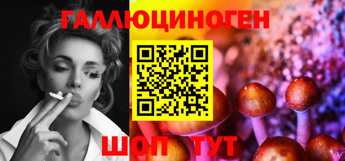 Галлюциногенные грибы Psilocybine cubensis  Балашиха  хочу наркоту  Галлюциногенные грибы GOLDEN TEACHER 