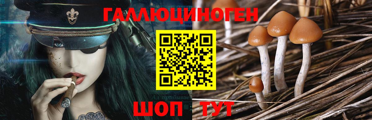 Псилоцибиновые грибы прущие грибы Балашиха